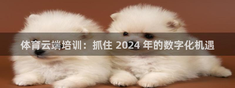 尊龙集团有限公司：体育云端培训：抓住 2024 年的