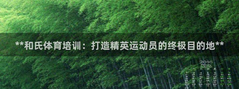 国际凯时ag优质运营商：**和氏体育培训：打造精英运