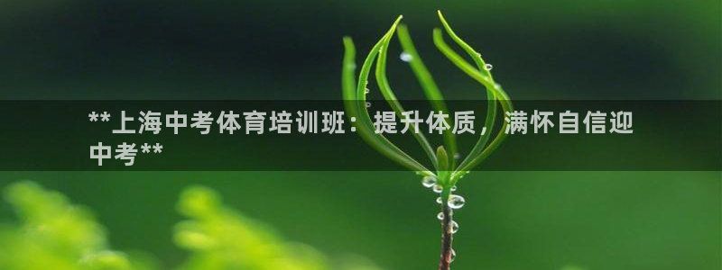 凯时官网下载客户端